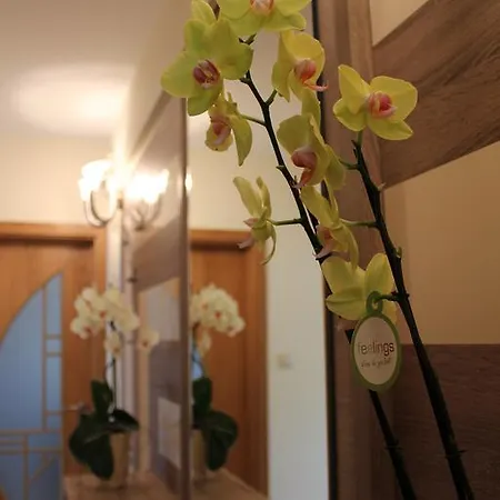Apartment Mir *